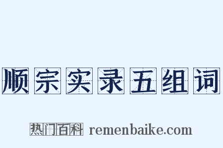 顺宗实录五组词是什么意思的图片